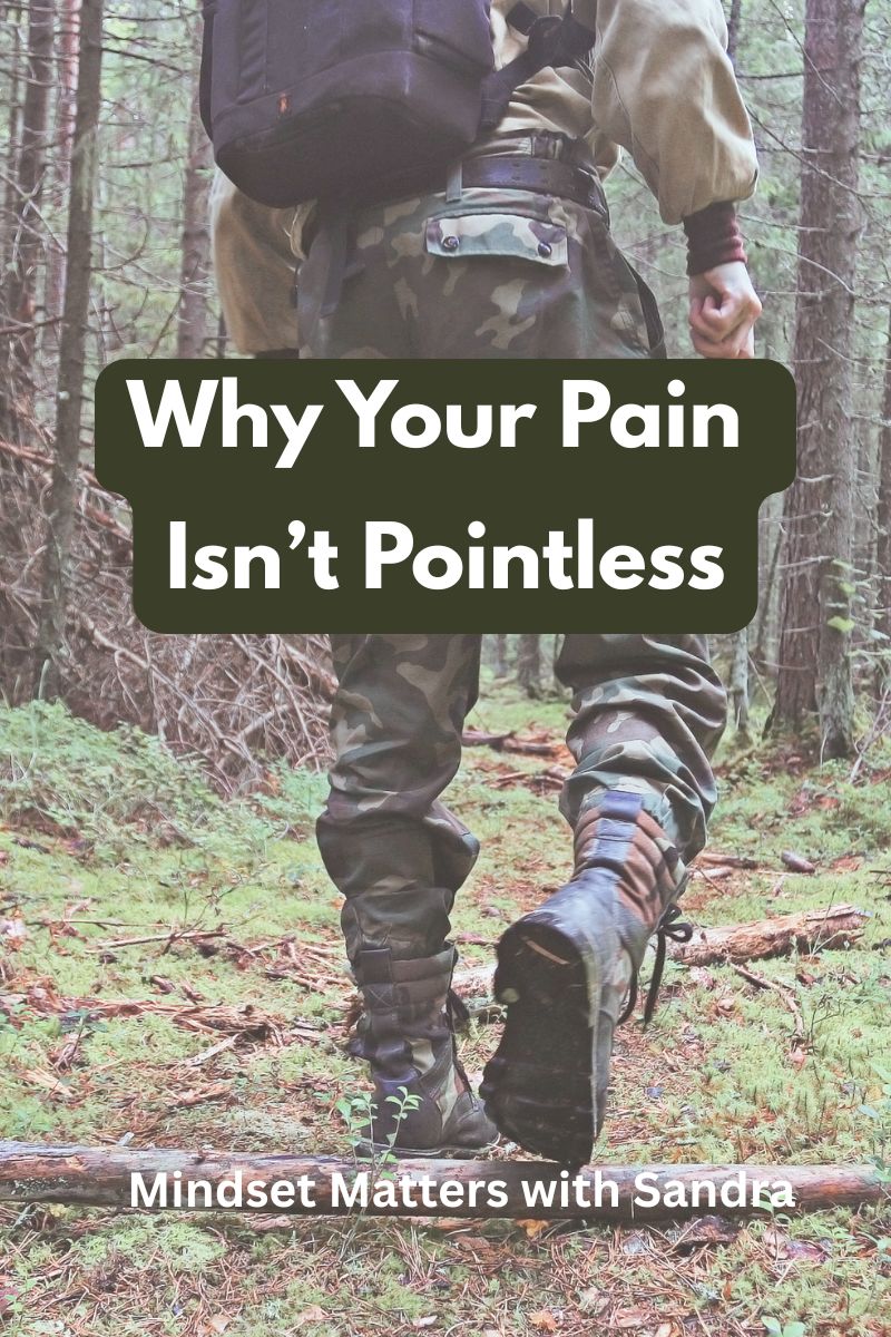 Why Your Pain Isn't Pointless (5 min read)