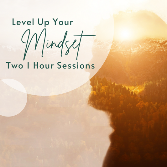 2 | Level Up Your Mindset 1-Hour Sessions